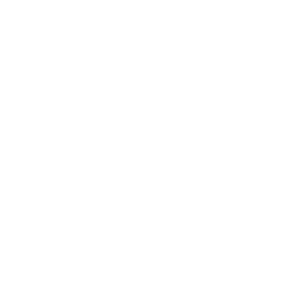 Instagram logo white